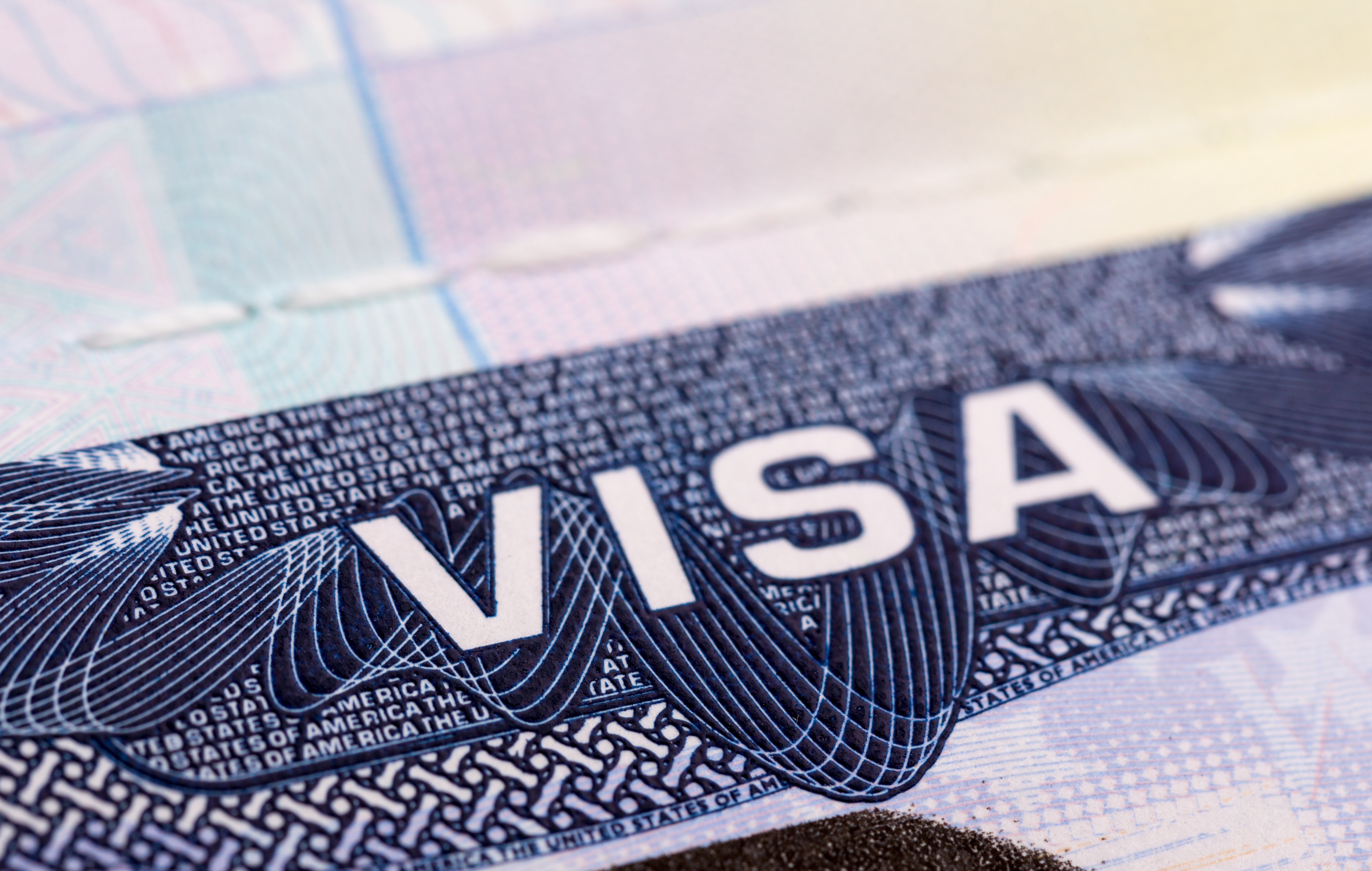 Global Visa Service